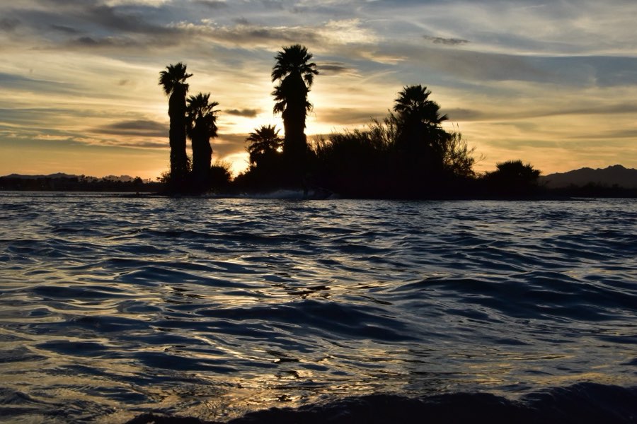 Palm trees silhouetted at sunset over Lake Havasu