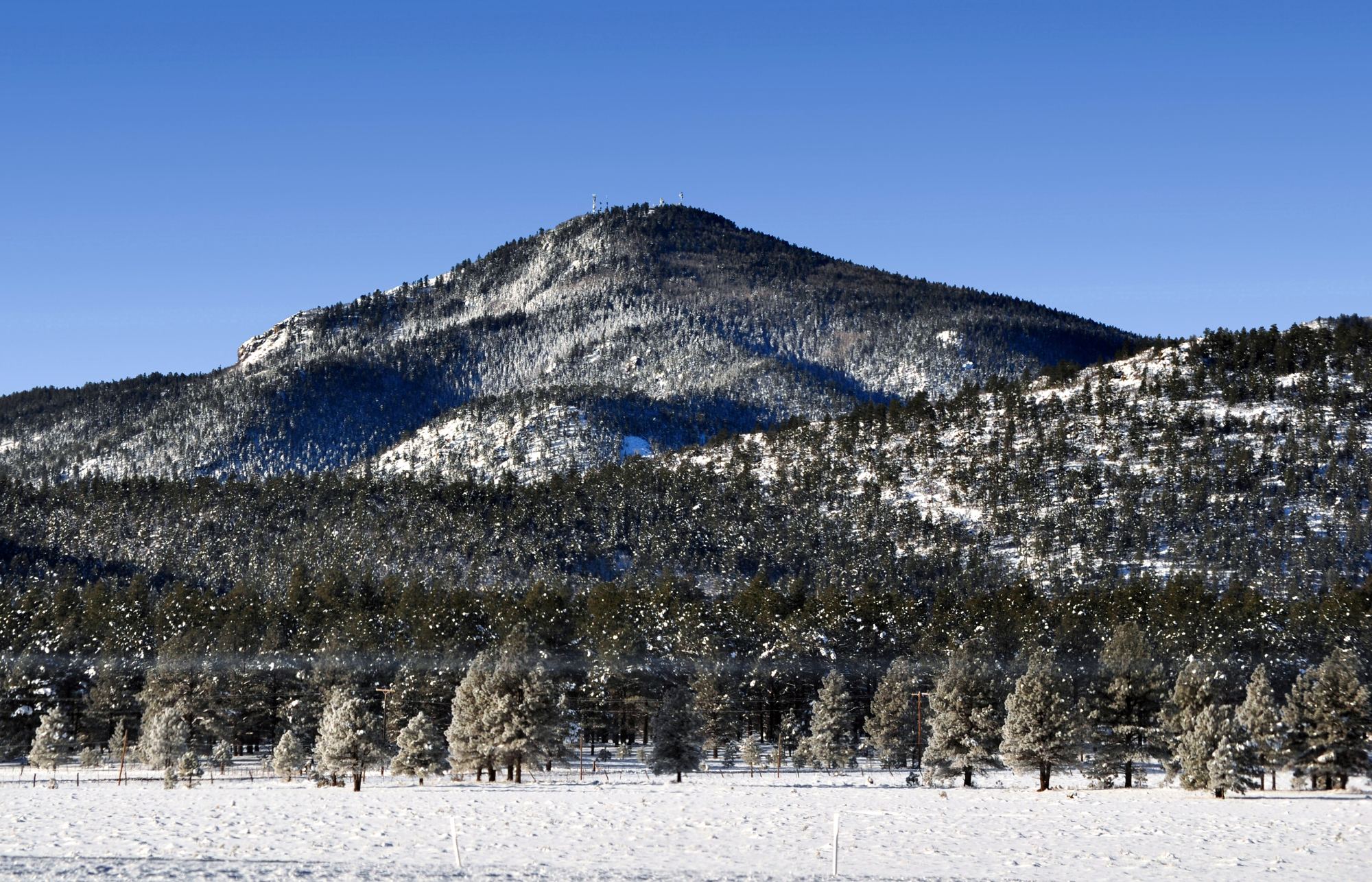 Snow on Bill Williams Mountain